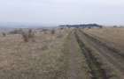 Teren agricol pentru investitii, zona Valea Calda -Iris - 9