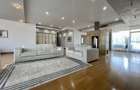 Penthouse cu 3 dormitoare si living generos in Dorobanti Capitale - 1