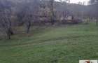 Vanzare casa cu 17.399 mp teren in Vintu de Jos - Valea Vintului - 7