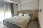 Inchiriere doua camere Premium Aparatorii Patriei - 31