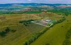 Oportunitate pentru fermieri: 10.800 mp teren arabil în Rotbav, Brașov - 10