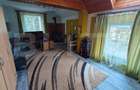 Casa de vacanta/locuit  7 camere, 420 mp utili, 1430 mp de teren, Marisel - 15