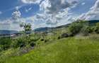 Teren Extravilan de vanzare 3000 m - zona Viisoara - 3