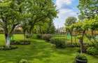 Casa traditionala, cu 709 mp teren intravilan zona apreciabila, Sfantu Gheorghe - 5