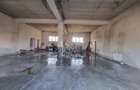 Casa de Lux 6 camere-480mp-teren 1100mp-service tinichigerie-Arcalia - 8