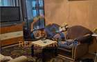 Vanzare 3 camere Dristor 69mp - 5