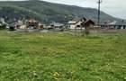 Teren constructii Piatra Neamt