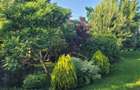 De vanzare 0,75ha cu doua case, gradina, livada etc Ideal camping, tabere, ferma - 4