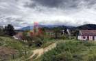 Teren de investiție în Moieciu, lângă Castelul Bran – 11.381 mp, vedere Bucegi - 9