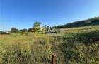 Teren Magura str. Intre Vii Islazului 550 mp - 5