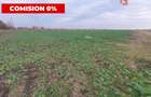 Comision 0% Teren extravilan agricol 21,32 ha sau intravilan cu PUZ aprobat - 7