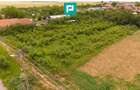 Teren 2400 mp - Tisa Nouă, comuna Fântânele - 2