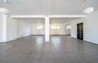 Spatiu comercial, 110 mp, Calea Dumbravii - 4