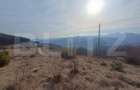 Teren extravilan, 12000 mp, curent com. Ramet - 4