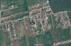TEREN PREMIUM LANGA PADURE | UTILITATI PE TEREN | ZONA VILE - 2