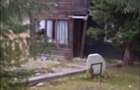 Teren intravilan Piatra Fantanele 17000 mp cu deschidere  DN17