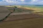 Vând teren agricol la șosea de 30.000mp în Iazurile comuna Valea Nucarilor 
