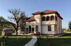 Conac neoromânesc în stil brâncovenesc | 600 mp utili | Domeniu de 2.400 mp - 1