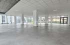 Spațiu comercial în zona Dambul Rotund I Taietura Turcului - 2