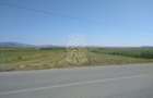 Teren 20000 mp (2 ha)-parcelabil-ideal cabane/agricultura/ferma-Jelna - 1