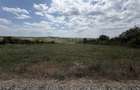 TEREN INTRAVILAN | 5997 MP | 35 ML FRONT STRADAL | ZONA IZVORULUI | SALDABAGIU D - 2