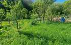 Casă de vânzare în Cisnădioara, curte mare și vedere spre munte - 4