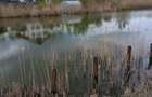 Teren 5600 mp deschidere Lac Snagov 32ml - 1