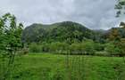 Teren intravilan - Rucar - Satic - 1775 mp - la strada principala - deschidere - 8
