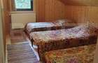 Casa de vacanta 4 camere, 100 mp, teren 768 mp, Dealu Mare, Comuna Rasca - 20