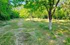 Vila P+1+5600 mp teren, proprietate de 5 km de oras - 7