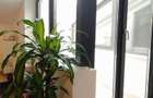 Închiriere 2 Camere Unirii, Centrală, Terasă, Petfriendly - 3