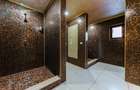 Vilă cu 5 camere, piscină și 805 mp teren, zona Vladimirescu, Arad - 9