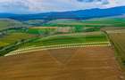 Oportunitate pentru fermieri: 10.800 mp teren arabil în Rotbav, Brașov - 4