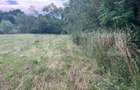 Teren intravilan autorizabil, 1397 mp, front 16.5 m, zona Micesti - 2