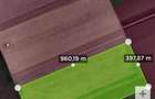 Teren Agrico Comasat 150 ha - 1