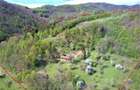 Domeniu de 7 ha in Apuseni - Criscior, Hunedoara - 1