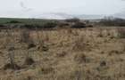 Teren agricol extravilan in Feiurdeni cu acces din Câmpenești. S=10300mp+2300mp - 3