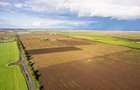 Teren de 20 Hectare în Arad - 2