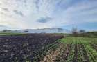 Vanzare Teren pretabil constructie hale, 28.100 mp, Halchiu - 9