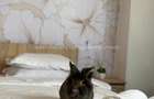 Unirii Metro | 3 Rooms | Boho Heaven 9A - 12