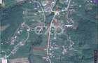 Teren intravilan 21.000 mp de vânzare – Suseni, Comuna Bogați, Județul Argeș - 1