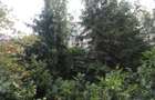 Inchiriere apartament 3 camere|Amzei|Romana|Calea Victoriei - 17