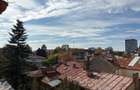 Apartament Foarte Mare Interbelic Superb Conservat ! OPORTUNITATE ! - 4