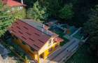 Casa de vacanta superba in Crivaia - 20