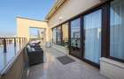 Penthouse 3 Rooms fully renovated  Nordului-Herastrau  Open View - 9