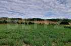 De vanzare teren Fundatura 27500mp - intravilan