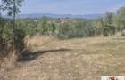 Teren de vanzare in Alba Iulia - Oarda de Sus - 1