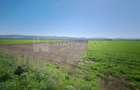 Teren extravilan, 8700 mp, pretabil agricultură sau investiție - Bod - 8