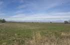Teren Intravilan com. Ratesti - 1