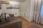 Vila individuala mobilata cu 3 dormitoare | 420mp teren - 12